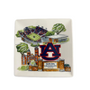 Collegiate Trinket Tray