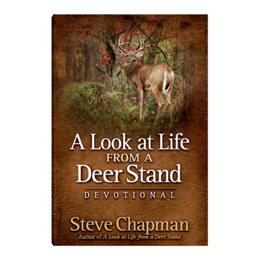 Life From A Deer Stand