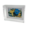 Blue Poppy Acrylic Trays