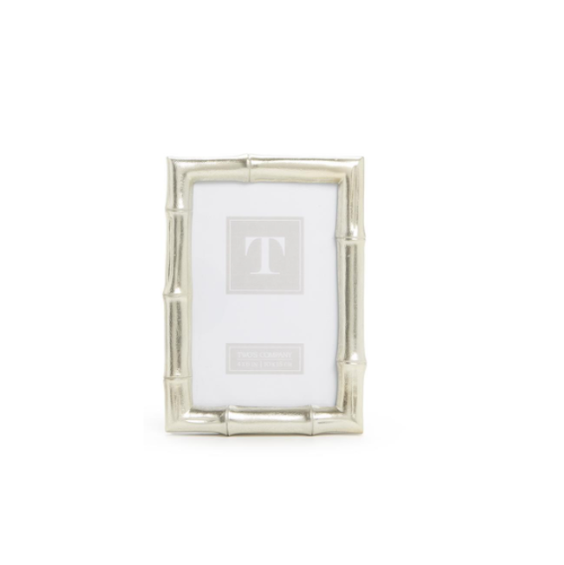 Silver Bamboo Frames