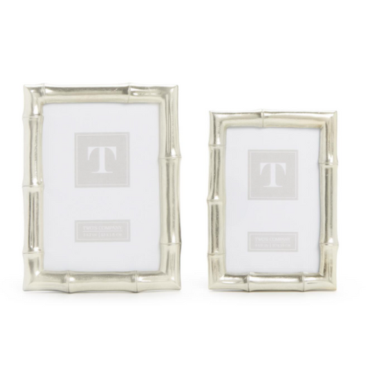 Silver Bamboo Frames