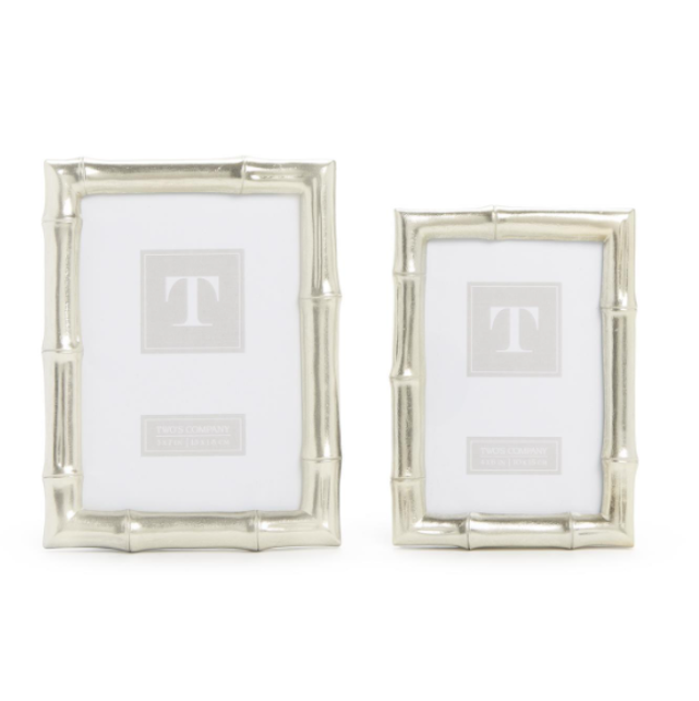 Silver Bamboo Frames