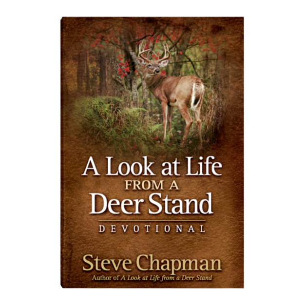 Life From A Deer Stand