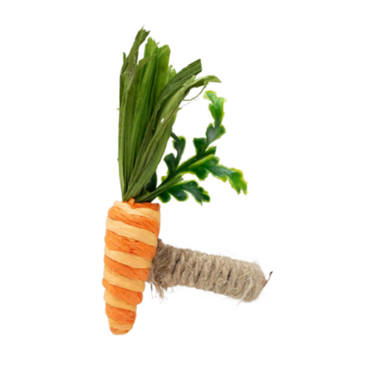 Carrot Napkin Ring (4)