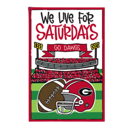 UGA - Flag