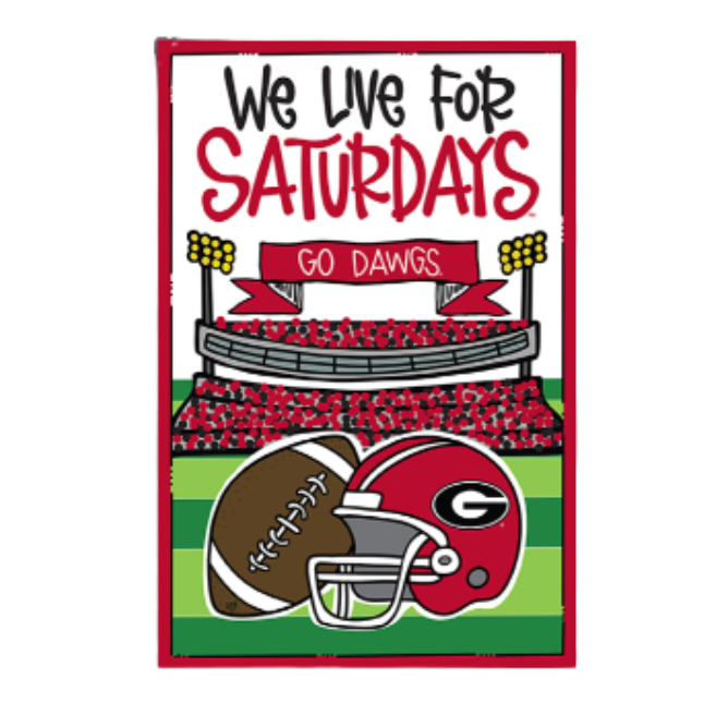 UGA - Flag