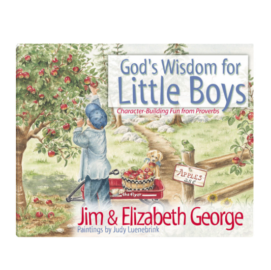 God's Wisdom For Little Boys
